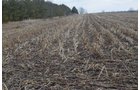 Property photo 36 - 98+/- Acres Offered in 6 Tracts or Combinations, Noble County, Indiana Farm